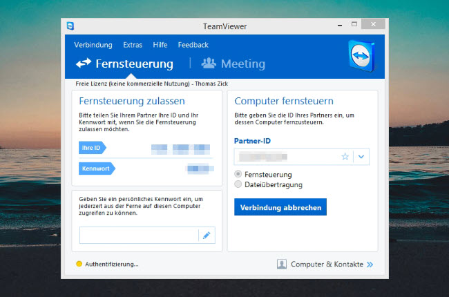 TeamViewer Schnittstelle